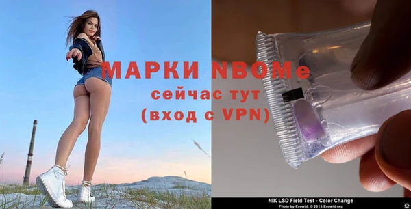 стаф Алексеевка