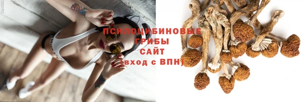 стаф Алексеевка