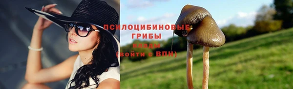 ПСИЛОЦИБИНОВЫЕ ГРИБЫ Алзамай