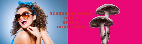 стаф Алексеевка
