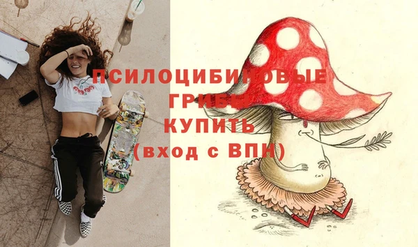 PSILOCYBIN Алексин