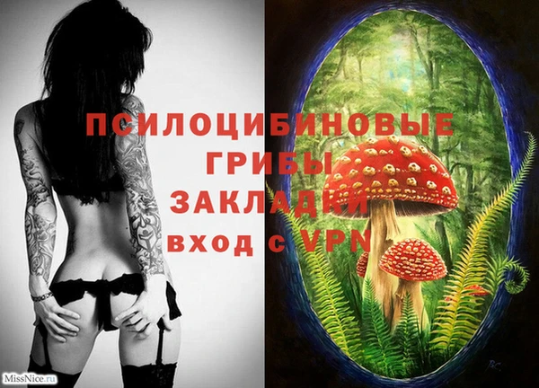 ПСИЛОЦИБИНОВЫЕ ГРИБЫ Алзамай