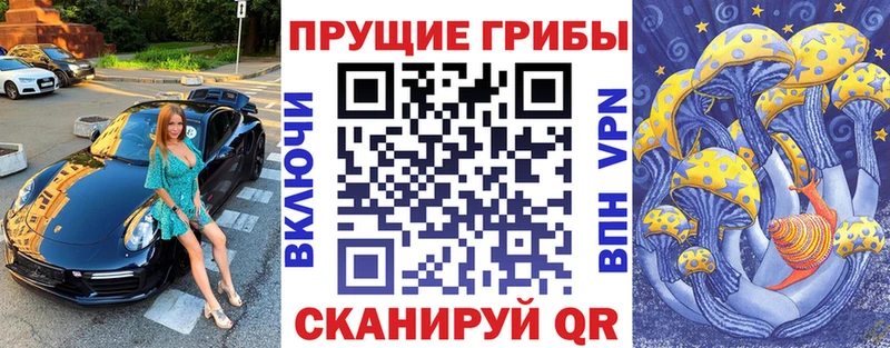 Псилоцибиновые грибы GOLDEN TEACHER  Сортавала 